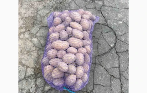 Продам картоплю