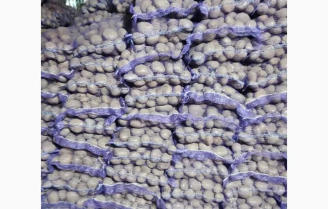 Продам картофель оптом