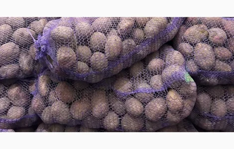 Картопля оптом високої якості