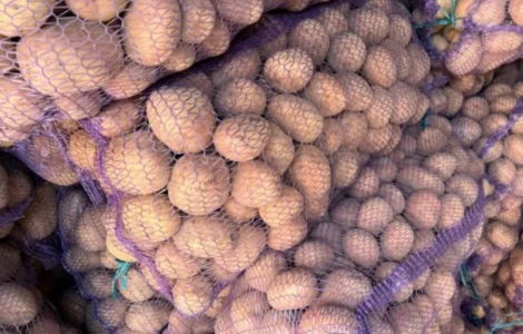 Продам картофель