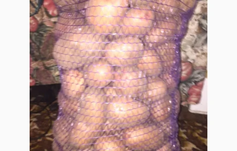 Продам товарний картофель сорта белла росса