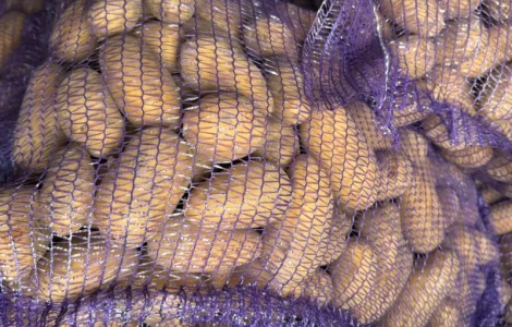 Куплю картошку товарную