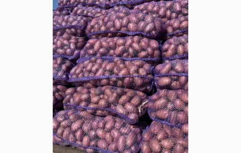 ПРОДАМ картофель