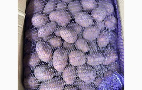 Продаж червоної картоплі cорту беллароза