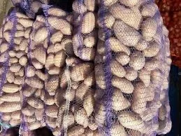 Продам картоплю Гранада оптом товарна від 20 тонн ідеальна якість