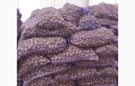 Закупівля картоплі середньої фракції