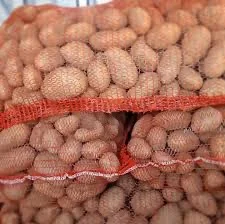 Закуповуємо картоплю на посадку в великих об'ємах / Семенная картошка элита