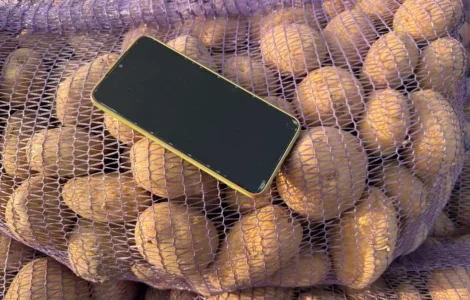 Куплю картоплю оптом від 80 тонн