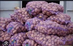 Закупаем картофель оптом от 10 тонн в Тернополе