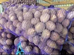 Купуємо картоплю гуртом по Україні / Прийом від 10 тонн