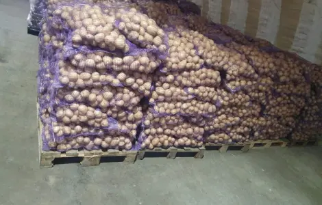 Продажа картофеля с овощебазы в Житомире
