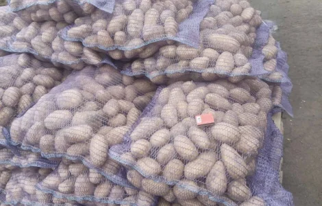 Продам картошку гранада аризона колумба посадку