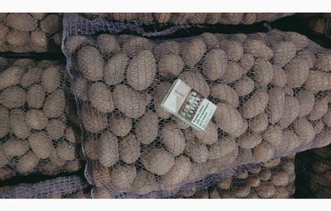 Насіння та средняя