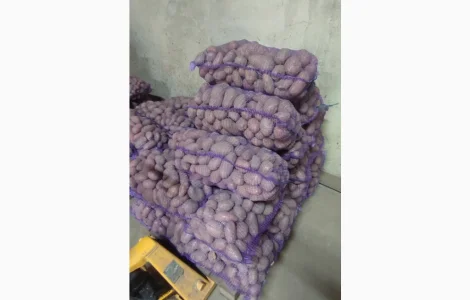 Продаємо Картоплю ПДВ