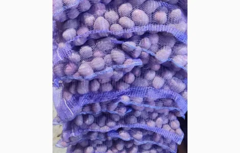 Продам картоплю рожеву