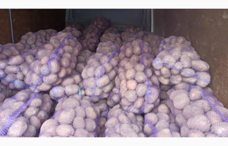 Продам картоплю насіннєву і велику