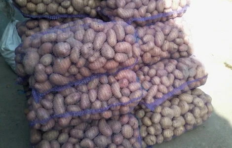 Продам картоплю