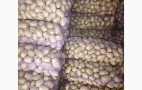 Продам картоплю