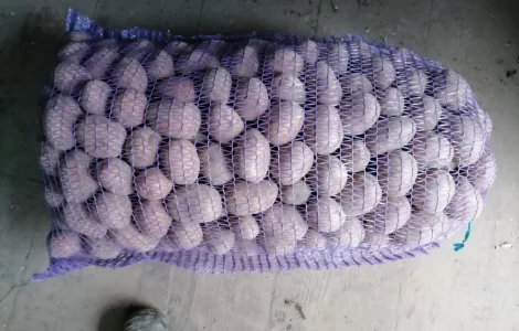 Продам Насінневу картоплю