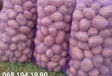 Продам товарну картоплю