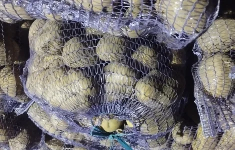 Продам картоплю