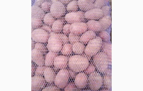 Продам картоплю різних сортів