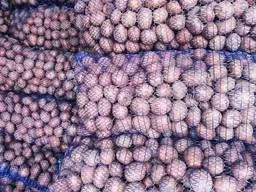 Продам картошку оптом