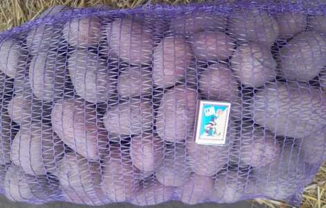 Продам товарну картоплю