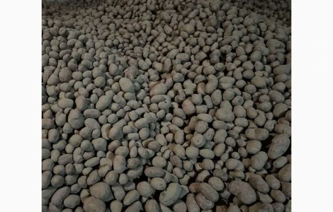 ПРОДАМ: Беллароза (опт) | 50 тонн | Чернігівська обл. (Корюківка) | Ціна договірна