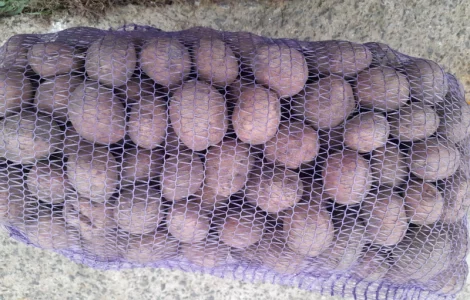 Картошка Домашня