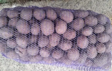 Картошка Домашняя
