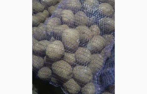 Продам товарну картоплю