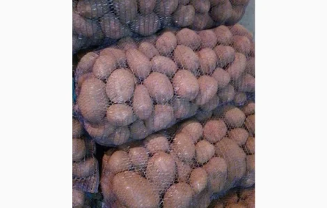 Картопля от производителя