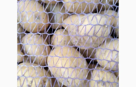 Продам продуктову та мілку домашню картоплю