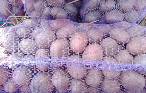 Продам товарну картоплю