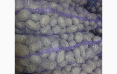 Продам картоплю 10 тон сорт Мелоді