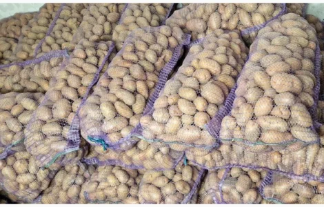 Продам картоплю товарну. (Княгиня