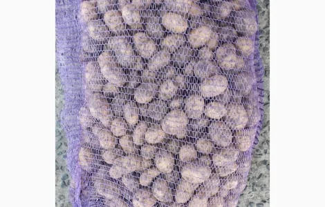 ФГ реалізує картоплю сорт Прада