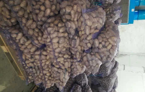 Продамо картоплю товарну