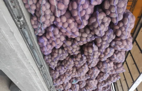 Продам товарну картоплю