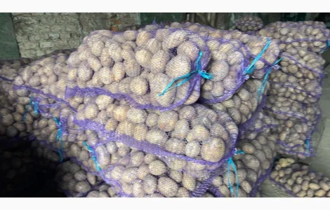 Продам товарну картоплю