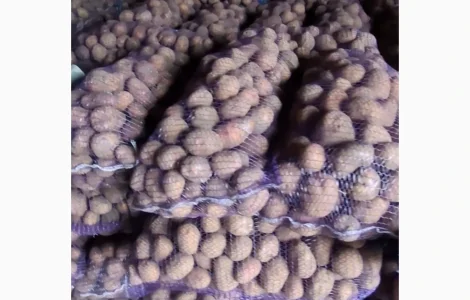 Продам картоплю. 25 тон