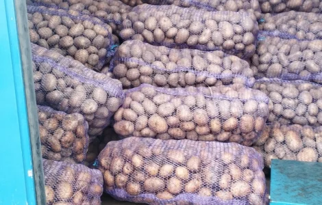 Продается товарная картошка