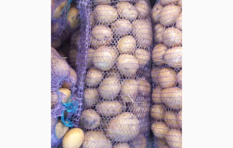 Продам Картоплю