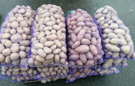 Куплю картоплю велику гарну