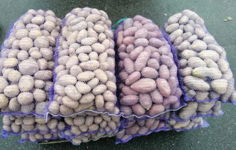 Куплю картошку большую хорошую