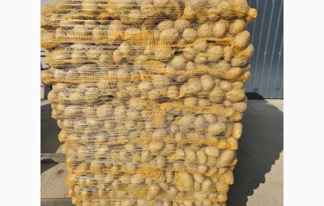 Продам товарну картоплю
