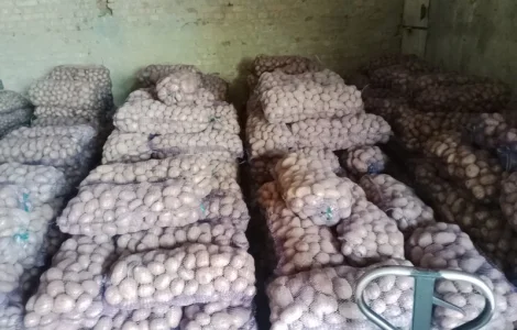 Продам картоплю велику і насіневу кого цікавить телефонуйте