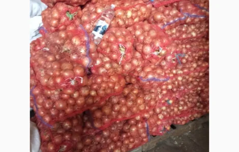 Продам и привезу картошку