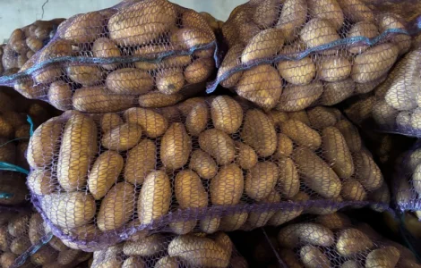 Продам картоплю опт Гренада